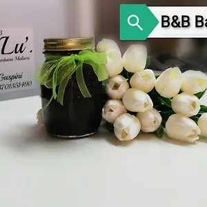 Ba.lù. Guspini